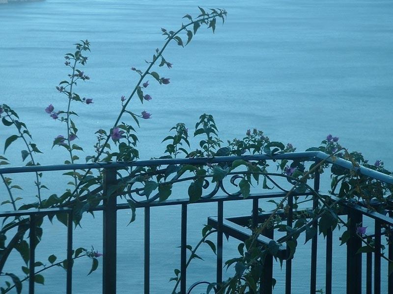Apartmán Il Giardino Dei Limoni Ravello Exteriér fotografie